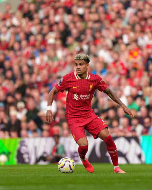 这一决定不 这一决定不